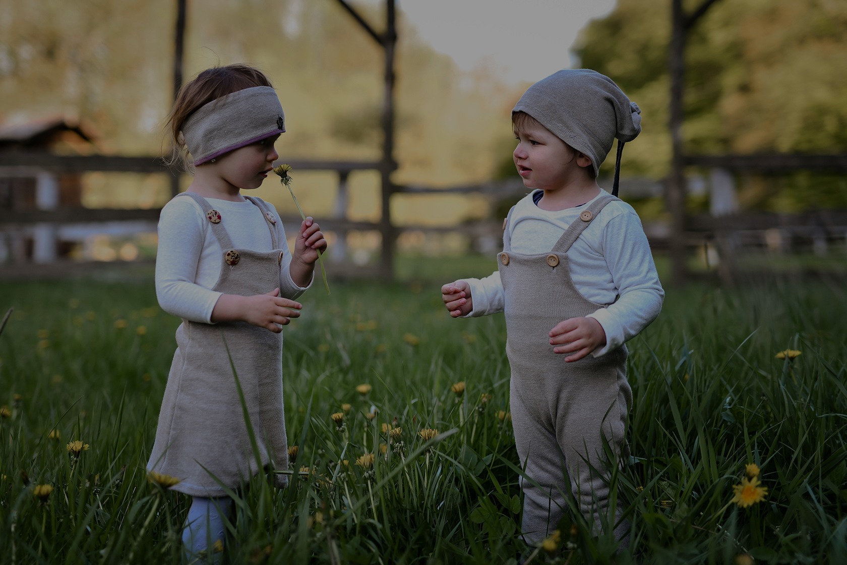 Image Slider