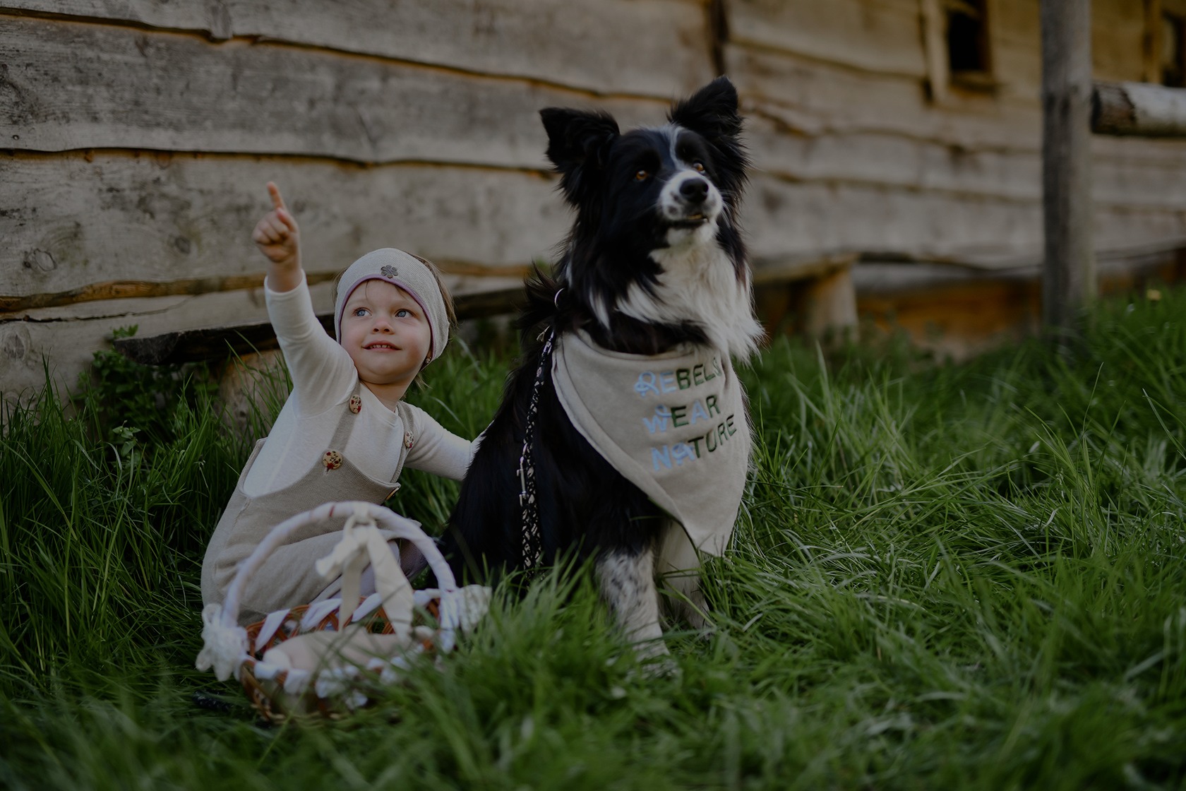 Image Slider